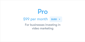Wistia Hosting Price