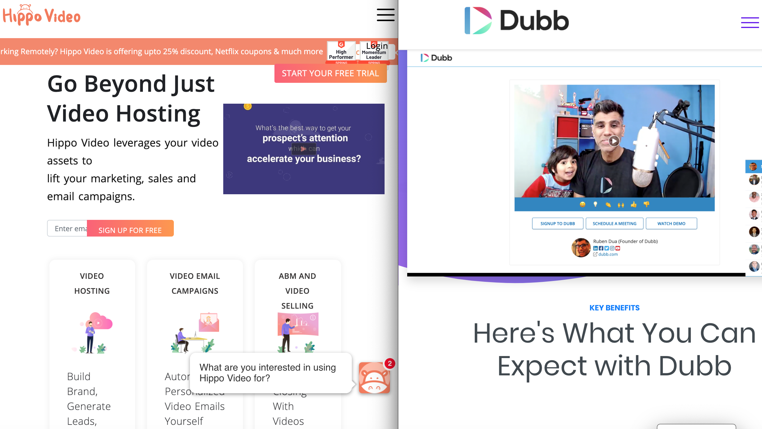 Hippo Video vs. Dubb: The Definitive Guide