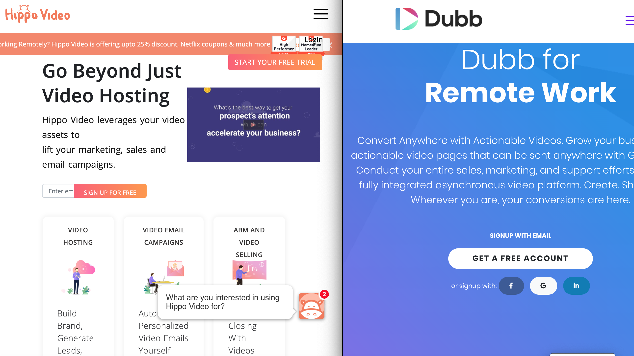 Looking for a Hippo Video Alternative? Meet Dubb