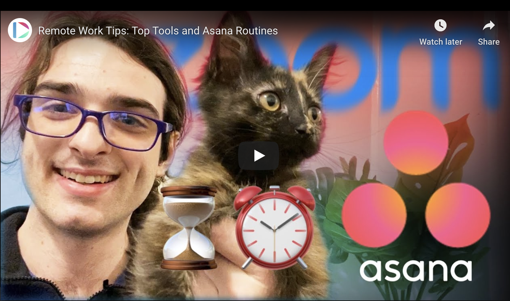 Remote Work Tips: Top Tools and Asana Routines