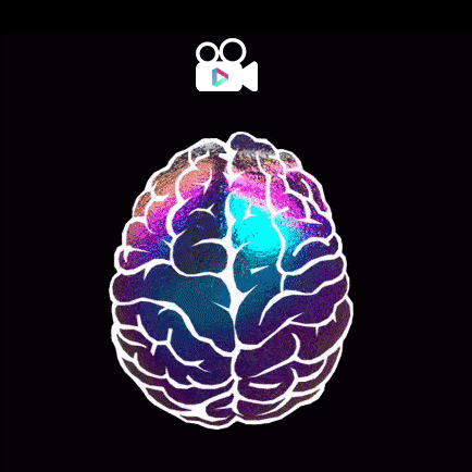 brain on video