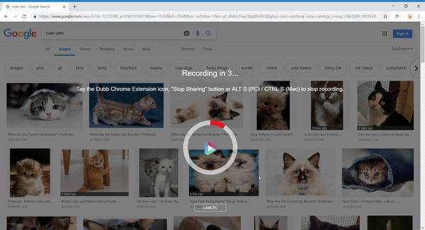 Dubb recording of cute cat pics