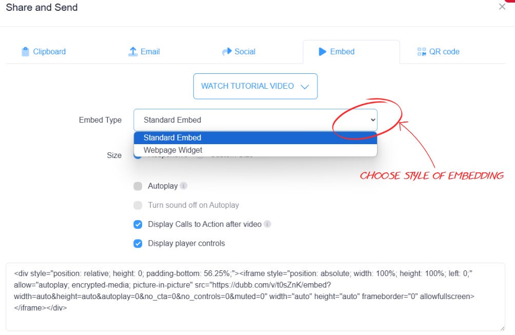 embed video style