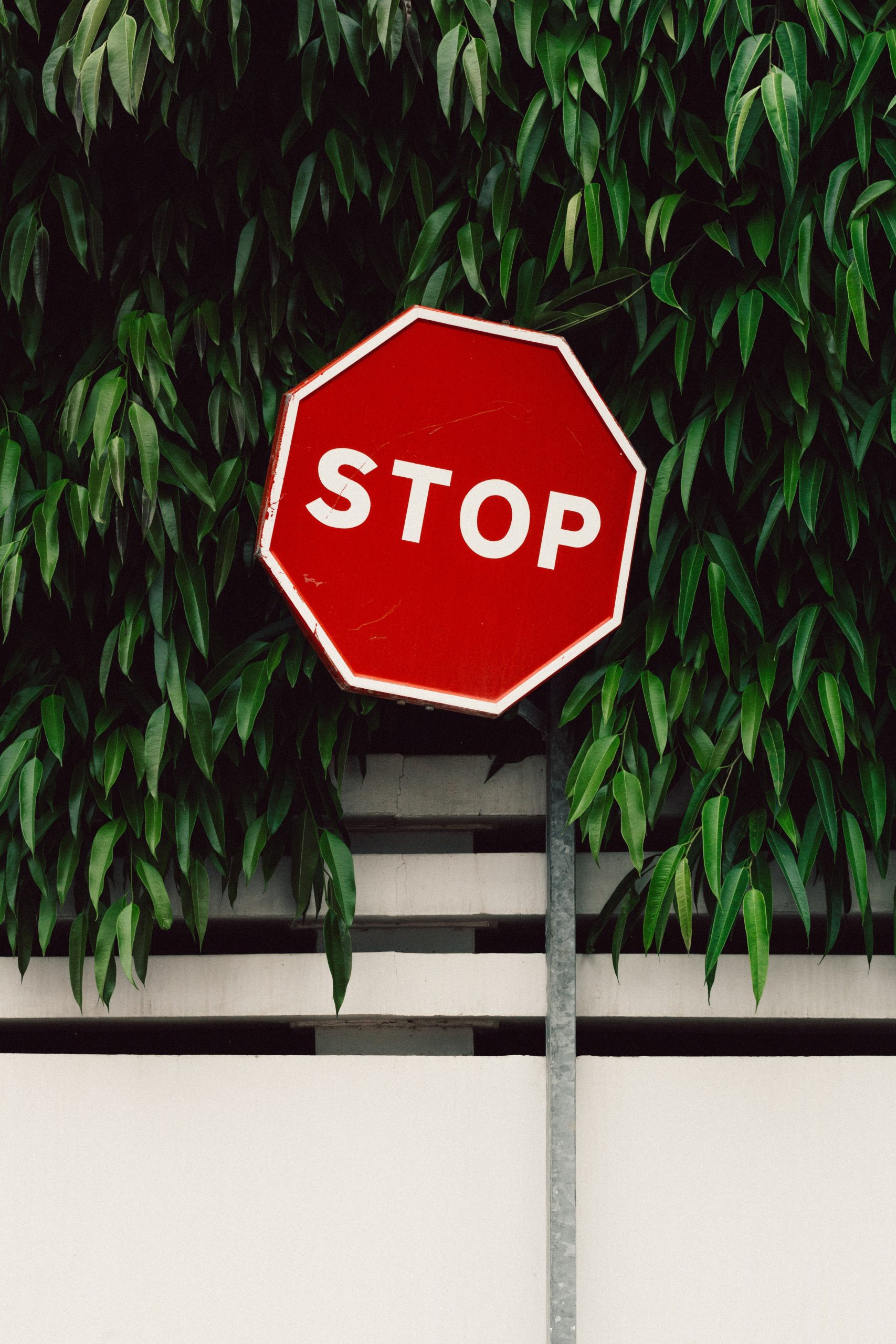 Investors tell us 16 things a business should never do